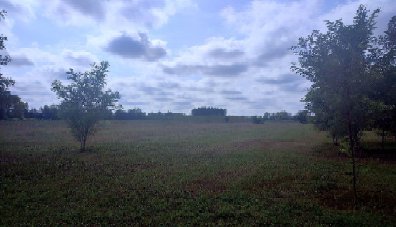 terreno agricolo in vendita a Sesto al Reghena in zona Borgo Siega