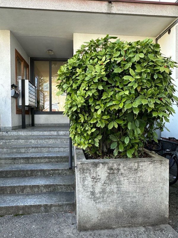 appartamento in vendita a Spilimbergo