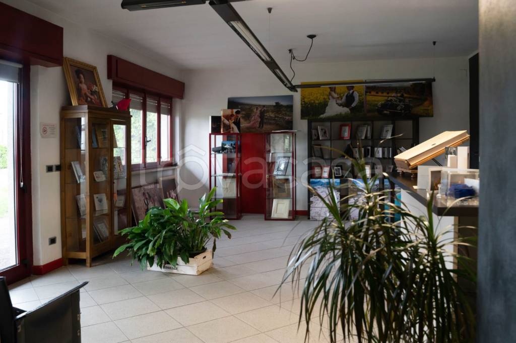 negozio in vendita a Spilimbergo