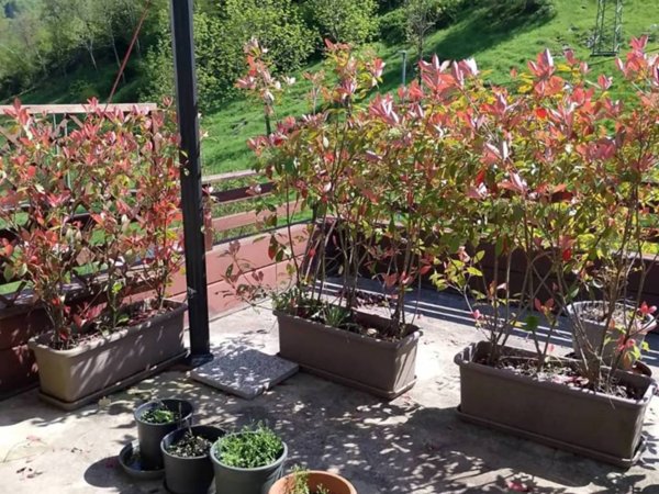 casa indipendente in vendita a Tramonti di Sotto in zona Campone