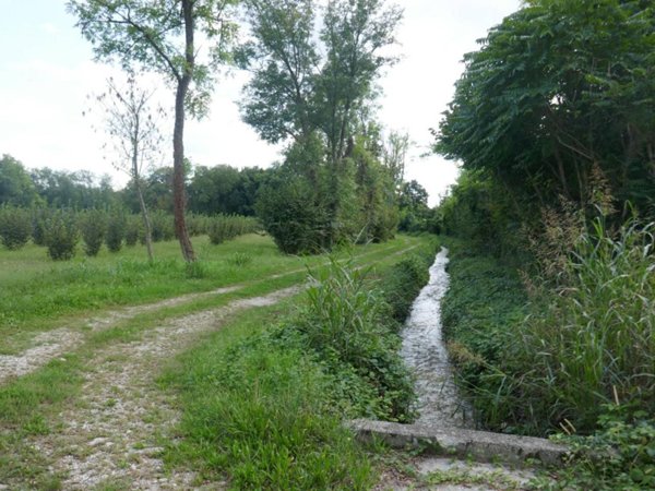 terreno agricolo in vendita a Vivaro in zona Tesis