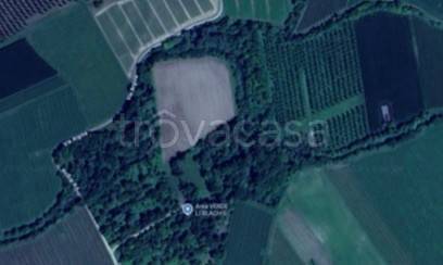 terreno agricolo in vendita a Zoppola