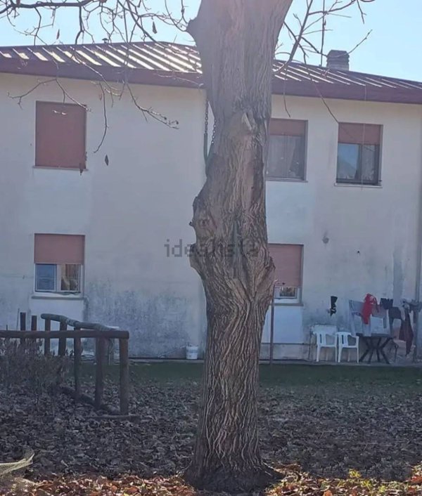 casa indipendente in vendita a Vajont