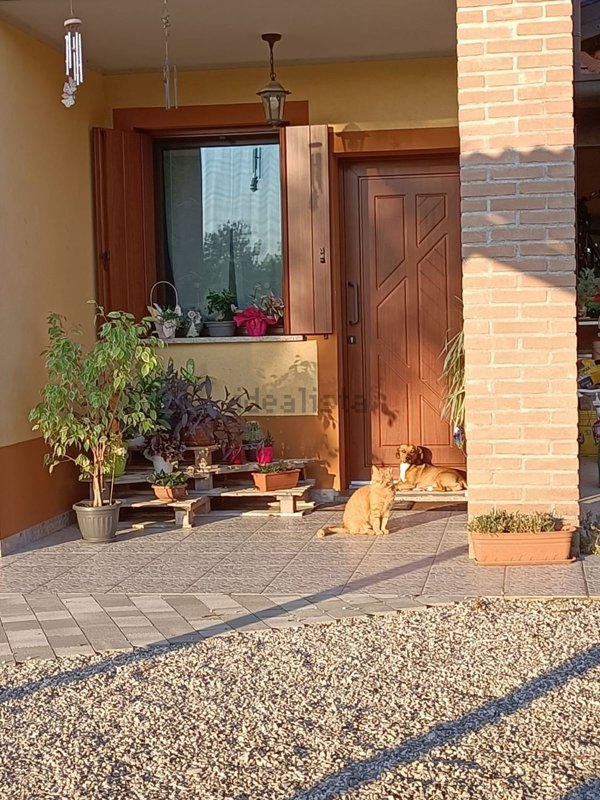 pentavano in vendita a Valvasone Arzene