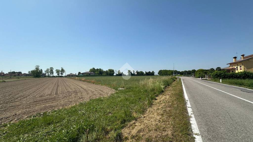 terreno agricolo in vendita a Valvasone Arzene in zona San Lorenzo
