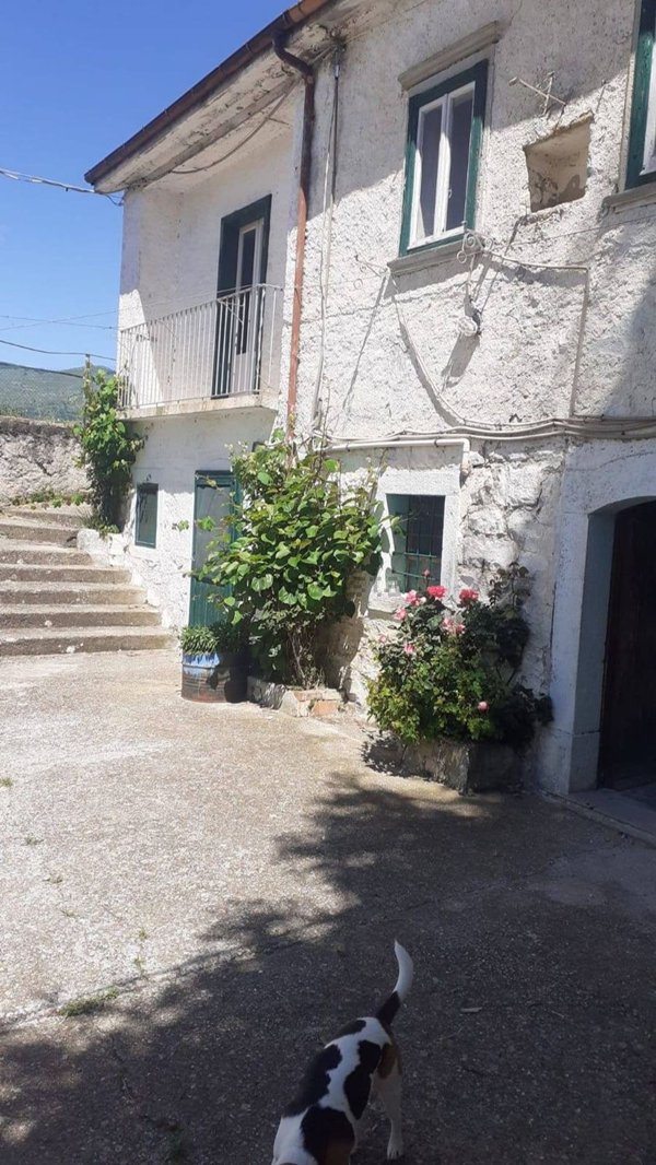 casa indipendente in vendita ad Agnone