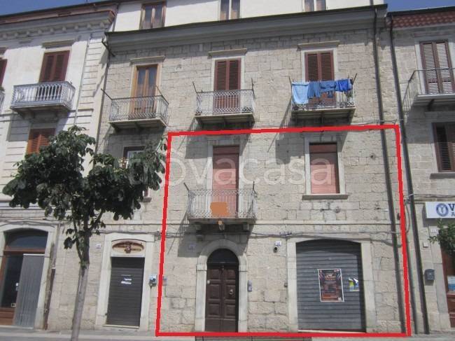 immagine annuncio 0 di 15