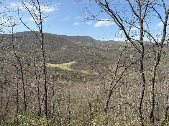 terreno agricolo in vendita a Bagnoli del Trigno
