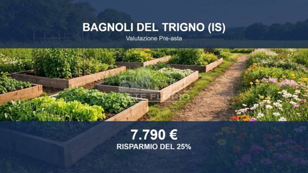 terreno agricolo in vendita a Bagnoli del Trigno