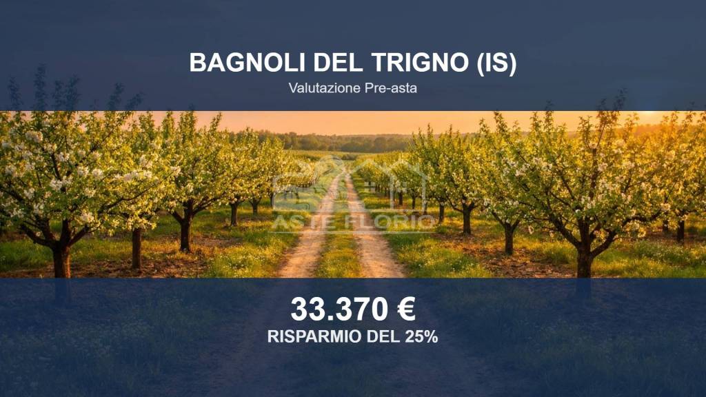 terreno agricolo in vendita a Bagnoli del Trigno