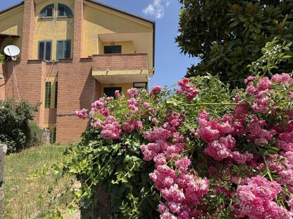 casa indipendente in vendita a Cantalupo nel Sannio