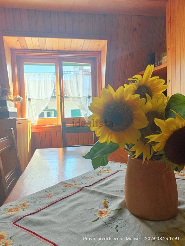 appartamento in vendita a Capracotta