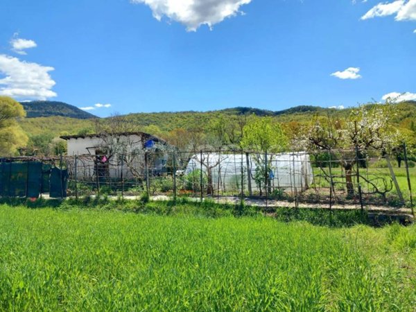 casa indipendente in vendita a Carpinone