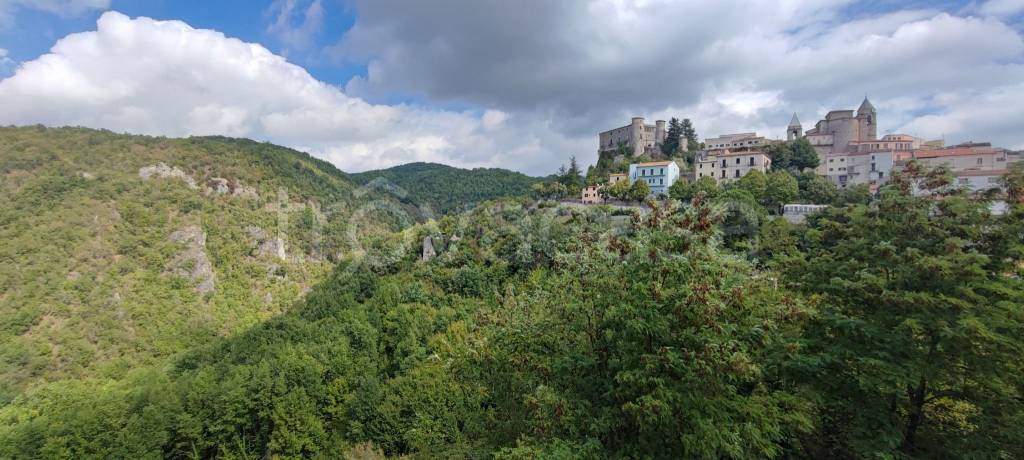 appartamento in vendita a Carpinone