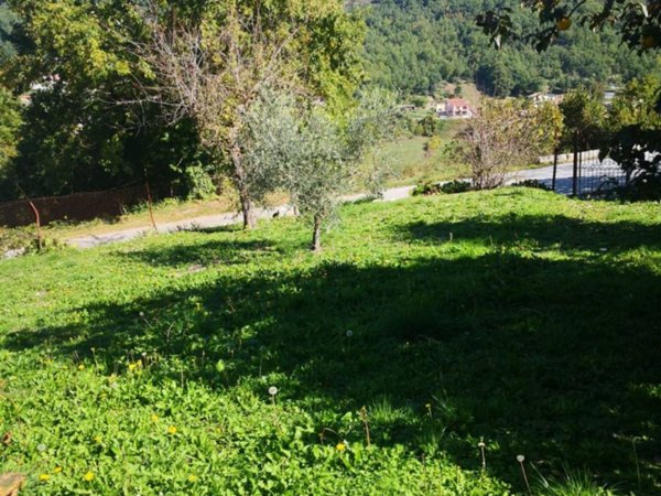 casa indipendente in vendita a Castelpetroso