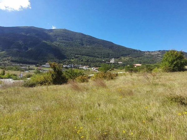 terreno agricolo in vendita a Castelpetroso