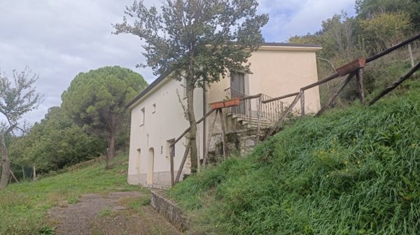 casa indipendente in vendita a Castelpizzuto