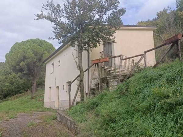 casa indipendente in vendita a Castelpizzuto