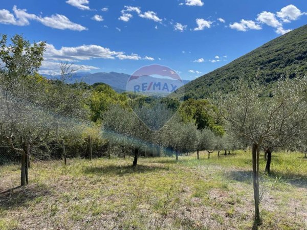 terreno agricolo in vendita a Colli a Volturno in zona Valloni