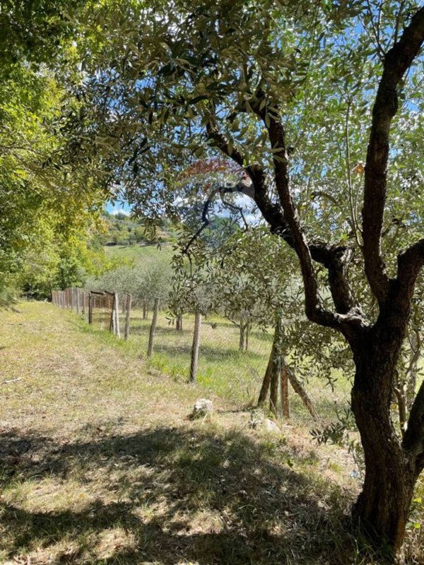 terreno agricolo in vendita a Colli a Volturno in zona Valloni