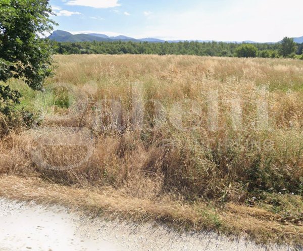 terreno agricolo in vendita a Colli a Volturno