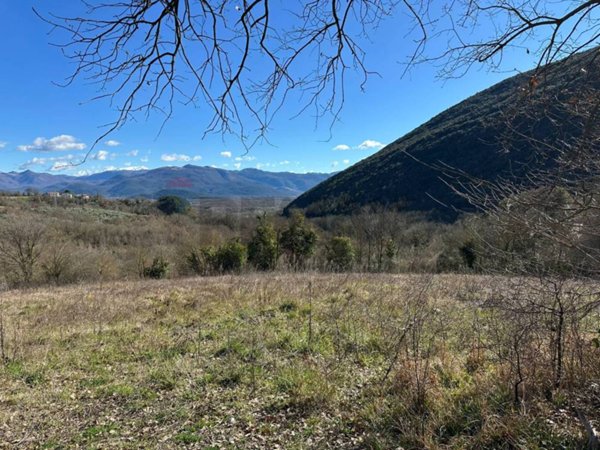 terreno agricolo in vendita a Colli a Volturno