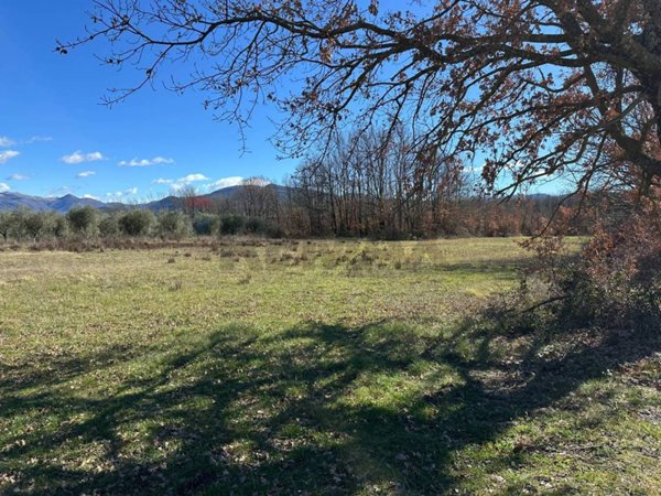 terreno agricolo in vendita a Colli a Volturno
