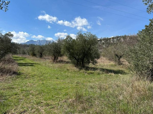 terreno agricolo in vendita a Conca Casale