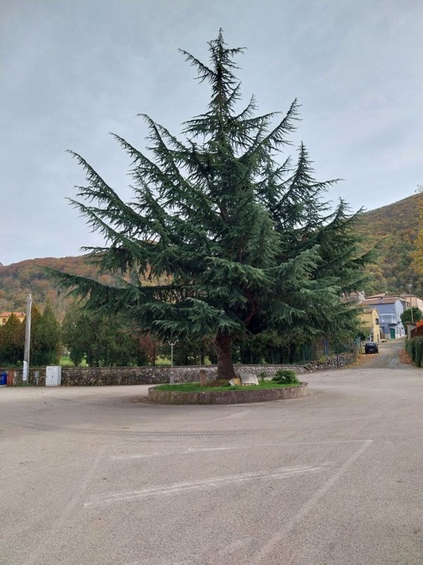 casa indipendente in vendita a Conca Casale