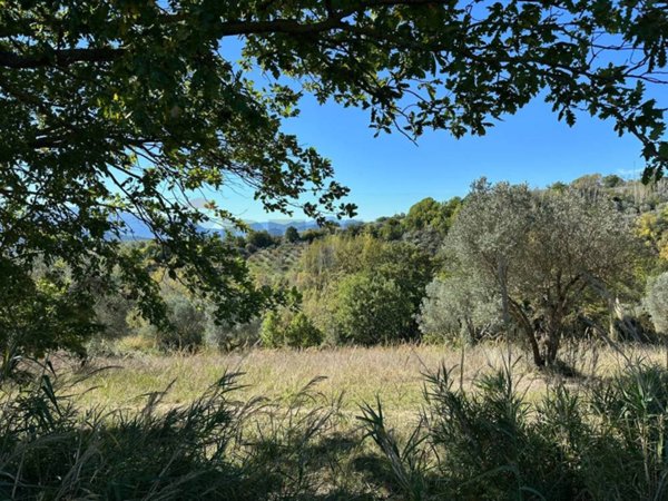terreno agricolo in vendita a Conca Casale