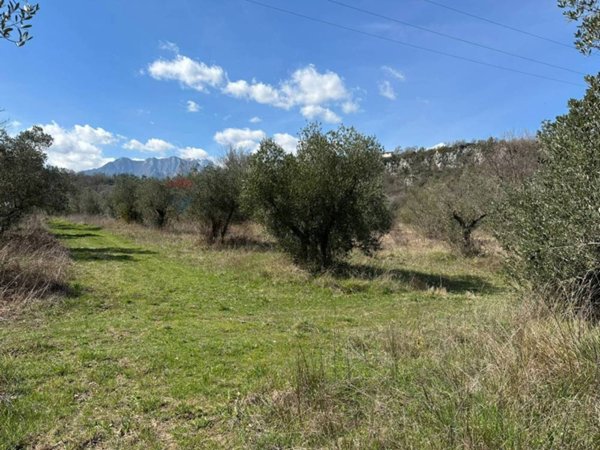 terreno agricolo in vendita a Conca Casale