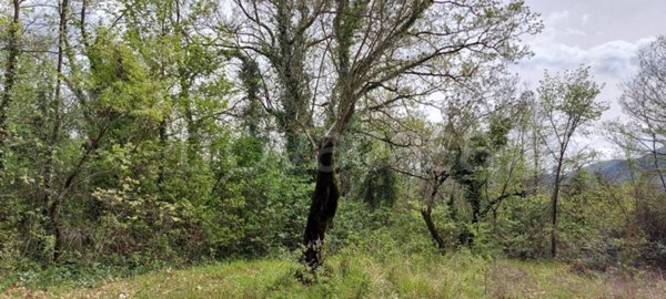 casa semindipendente in vendita a Fornelli in zona Bivio