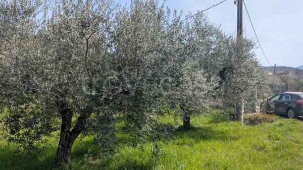 terreno agricolo in vendita ad Isernia in zona Contrada Valle Soda
