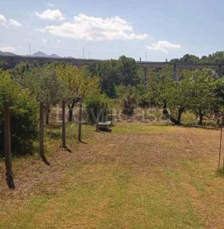 terreno agricolo in vendita ad Isernia