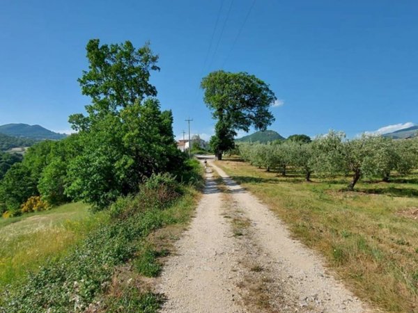 terreno agricolo in vendita ad Isernia in zona Salietto