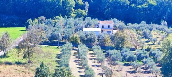 appartamento in vendita ad Isernia