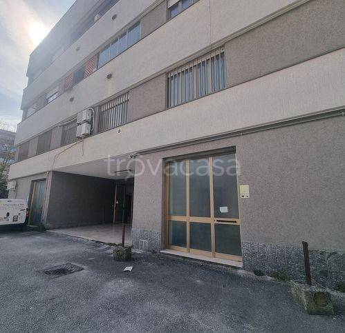 negozio in vendita ad Isernia