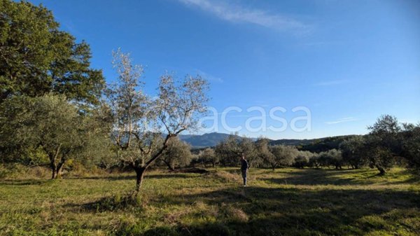 terreno agricolo in vendita ad Isernia in zona Salietto