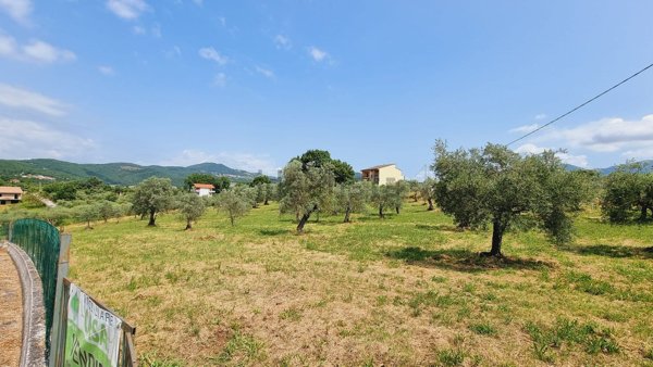 terreno agricolo in vendita ad Isernia in zona Contrada Castagna