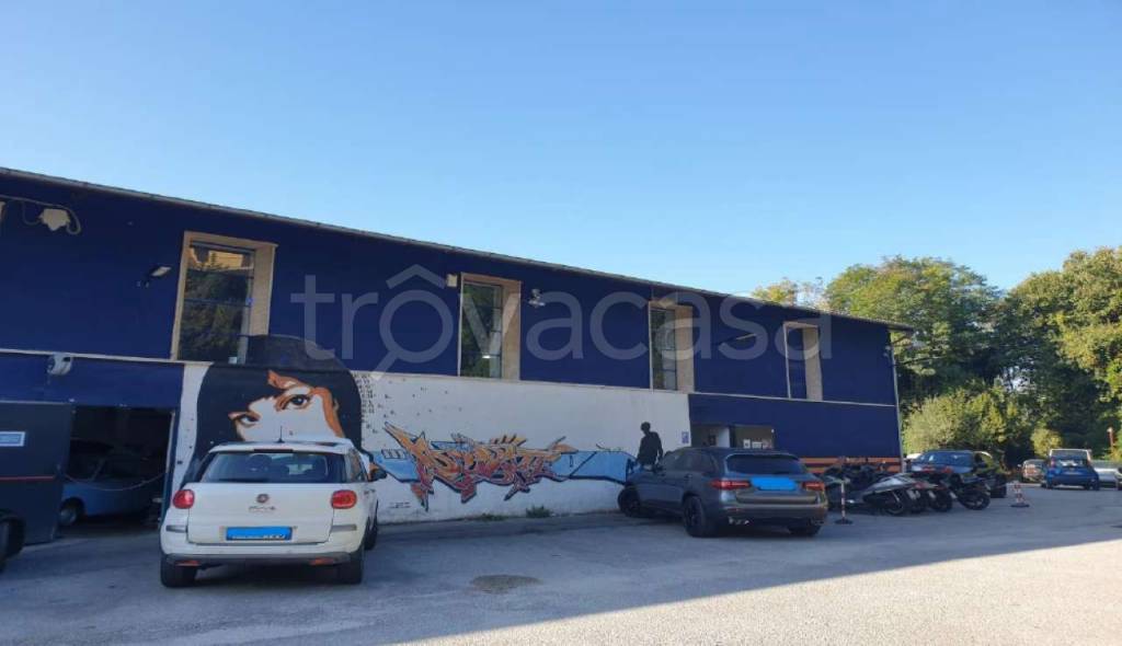 locale commerciale in vendita ad Isernia in zona Contrada Le Piane