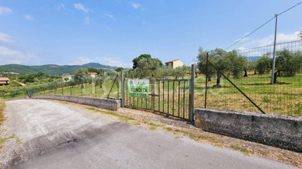 terreno agricolo in vendita ad Isernia in zona Contrada Castagna