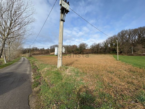terreno agricolo in vendita a Macchia d'Isernia