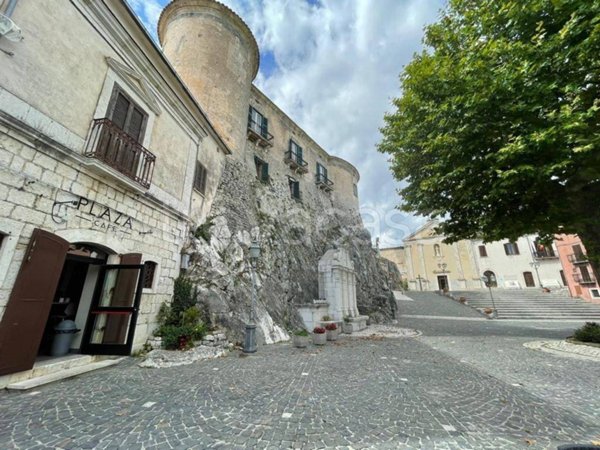 appartamento in vendita a Macchiagodena