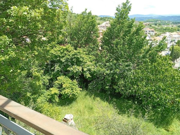 casa indipendente in vendita a Macchiagodena