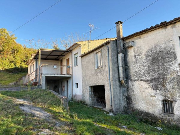 azienda agricola in vendita a Macchiagodena