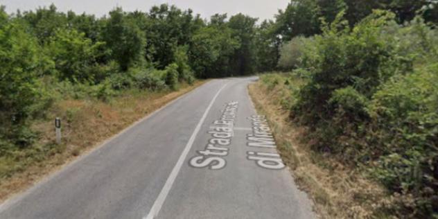 terreno agricolo in vendita a Miranda