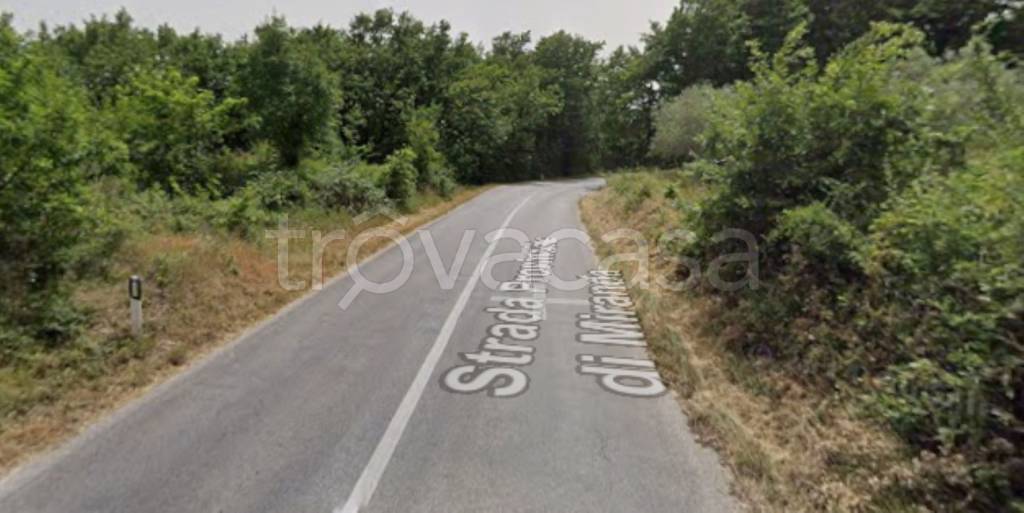 terreno agricolo in vendita a Miranda