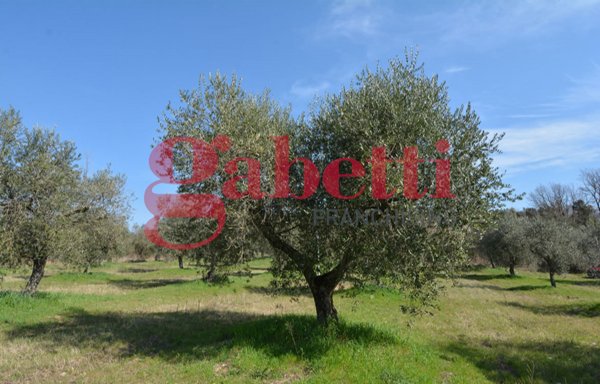 terreno agricolo in vendita a Montaquila in zona Roccaravindola