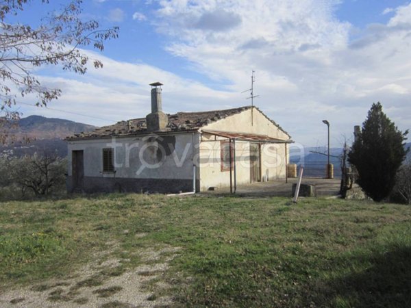 immagine annuncio 0 di 15