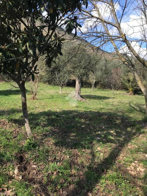 terreno agricolo in vendita a Pozzilli